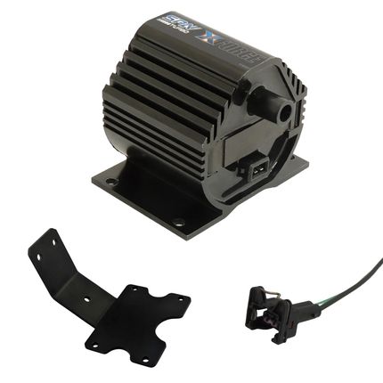 CIGINGS01-1000x1000 CIGINGS01-1000x1000