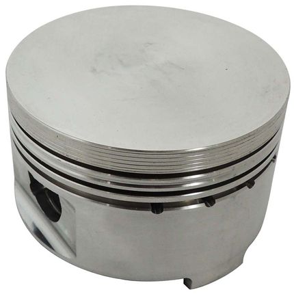 MVLPTW19--2- MVLPTW19--2-